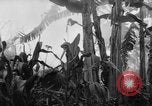 Image of French-Indochina war Indochina, 1951, second 43 stock footage video 65675043792