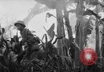 Image of French-Indochina war Indochina, 1951, second 45 stock footage video 65675043792