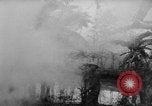 Image of French-Indochina war Indochina, 1951, second 52 stock footage video 65675043792