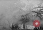 Image of French-Indochina war Indochina, 1951, second 53 stock footage video 65675043792