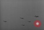 Image Escadron de chasse de la US Navy VF-114 Corée, 1950, de la seconde 14 séquences d'archives historiques vidéo 65675043799