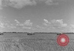 Image of French soldiers French Indo-China, 1950, second 3 stock footage video 65675043801