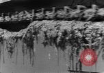 Image of French soldiers French Indo-China, 1950, second 12 stock footage video 65675043801