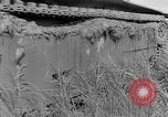 Image of French soldiers French Indo-China, 1950, second 56 stock footage video 65675043801