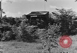Image of French soldiers French Indo-China, 1950, second 20 stock footage video 65675043802