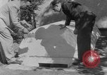 Immagine di Backyard fallout shelter United States USA, 1950, secondo 21 filmato di repertorio 65675043805
