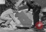 Immagine di Backyard fallout shelter United States USA, 1950, secondo 23 filmato di repertorio 65675043805