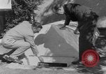 Immagine di Backyard fallout shelter United States USA, 1950, secondo 24 filmato di repertorio 65675043805