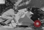 Immagine di Backyard fallout shelter United States USA, 1950, secondo 25 filmato di repertorio 65675043805