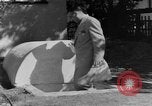Immagine di Backyard fallout shelter United States USA, 1950, secondo 31 filmato di repertorio 65675043805