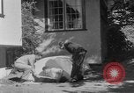 Immagine di Backyard fallout shelter United States USA, 1950, secondo 52 filmato di repertorio 65675043805