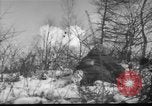Immagine di Stati Uniti Marines Corea, 1950, secondo 54 filmato di repertorio 65675043807