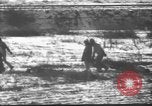 Image des Marines des États-Unis Corée, 1950, de la seconde 53 séquences d'archives historiques vidéo 65675043808