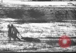 Image des Marines des États-Unis Corée, 1950, de la seconde 59 séquences d'archives historiques vidéo 65675043808