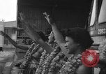 Image of French troops Oahu Hawaii USA, 1954, second 24 stock footage video 65675043818