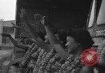 Image of French troops Oahu Hawaii USA, 1954, second 28 stock footage video 65675043818