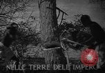 Image travailleurs somalienne Somalie, 1940, de la seconde 4 séquences d'archives historiques vidéo 65675043841