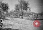 Image travailleurs somalienne Somalie, 1940, de la seconde 5 séquences d'archives historiques vidéo 65675043841