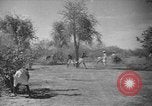 Image travailleurs somalienne Somalie, 1940, de la seconde 8 séquences d'archives historiques vidéo 65675043841