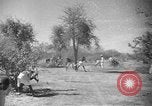 Image travailleurs somalienne Somalie, 1940, de la seconde 9 séquences d'archives historiques vidéo 65675043841