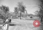 Image travailleurs somalienne Somalie, 1940, de la seconde 10 séquences d'archives historiques vidéo 65675043841