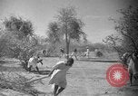 Image travailleurs somalienne Somalie, 1940, de la seconde 12 séquences d'archives historiques vidéo 65675043841