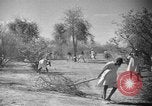 Image travailleurs somalienne Somalie, 1940, de la seconde 15 séquences d'archives historiques vidéo 65675043841