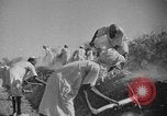 Image travailleurs somalienne Somalie, 1940, de la seconde 27 séquences d'archives historiques vidéo 65675043841