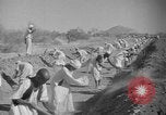 Image travailleurs somalienne Somalie, 1940, de la seconde 30 séquences d'archives historiques vidéo 65675043841