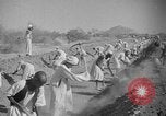 Image travailleurs somalienne Somalie, 1940, de la seconde 31 séquences d'archives historiques vidéo 65675043841