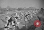 Image travailleurs somalienne Somalie, 1940, de la seconde 33 séquences d'archives historiques vidéo 65675043841