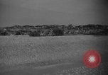 Image travailleurs somalienne Somalie, 1940, de la seconde 36 séquences d'archives historiques vidéo 65675043841