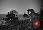 Image travailleurs somalienne Somalie, 1940, de la seconde 59 séquences d'archives historiques vidéo 65675043841