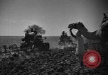 Image travailleurs somalienne Somalie, 1940, de la seconde 61 séquences d'archives historiques vidéo 65675043841