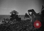 Image travailleurs somalienne Somalie, 1940, de la seconde 62 séquences d'archives historiques vidéo 65675043841