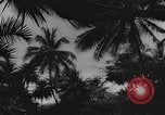 Standbild Angriff auf Pearl Harbor Hawaii USA, 1941, aus Sekunde 48 historischem Filmmaterial Videoclip 65675043848