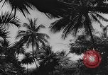 Standbild Angriff auf Pearl Harbor Hawaii USA, 1941, aus Sekunde 49 historischem Filmmaterial Videoclip 65675043848