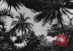 Standbild Angriff auf Pearl Harbor Hawaii USA, 1941, aus Sekunde 52 historischem Filmmaterial Videoclip 65675043848