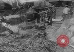Image of attack on Pearl Harbor Hawaii USA, 1941, second 49 stock footage video 65675043849