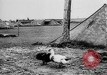 Immagine di Truppe tedesche Creta Grecia, 1941, secondo 27 filmato di repertorio 65675043852