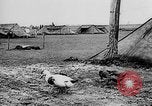 Immagine di Truppe tedesche Creta Grecia, 1941, secondo 28 filmato di repertorio 65675043852