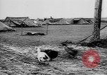 Immagine di Truppe tedesche Creta Grecia, 1941, secondo 29 filmato di repertorio 65675043852