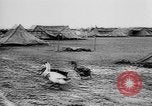 Immagine di Truppe tedesche Creta Grecia, 1941, secondo 30 filmato di repertorio 65675043852