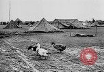 Immagine di Truppe tedesche Creta Grecia, 1941, secondo 31 filmato di repertorio 65675043852