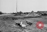 Immagine di Truppe tedesche Creta Grecia, 1941, secondo 32 filmato di repertorio 65675043852
