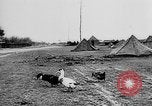 Immagine di Truppe tedesche Creta Grecia, 1941, secondo 33 filmato di repertorio 65675043852