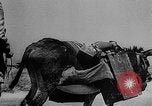 Immagine di Truppe tedesche Creta Grecia, 1941, secondo 15 filmato di repertorio 65675043855