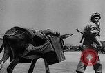 Immagine di Truppe tedesche Creta Grecia, 1941, secondo 16 filmato di repertorio 65675043855
