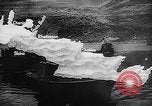 Immagine di Truppe tedesche Creta Grecia, 1941, secondo 29 filmato di repertorio 65675043856