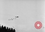 Standbild britische Truppen Frankreich, 1944, aus Sekunde 10 historischem Filmmaterial Videoclip 65675043859